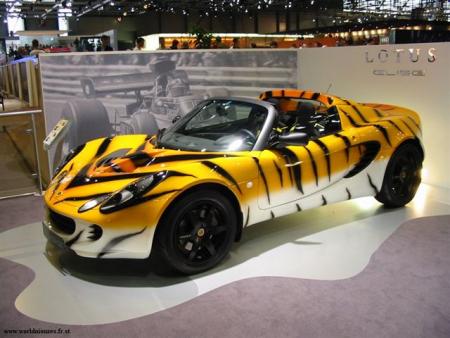 lotus tigresse